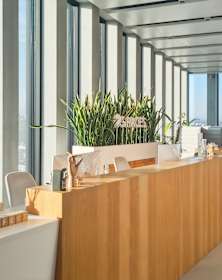 Virtual offices in Chile