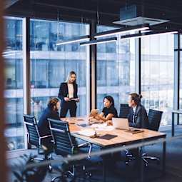 Professional services
