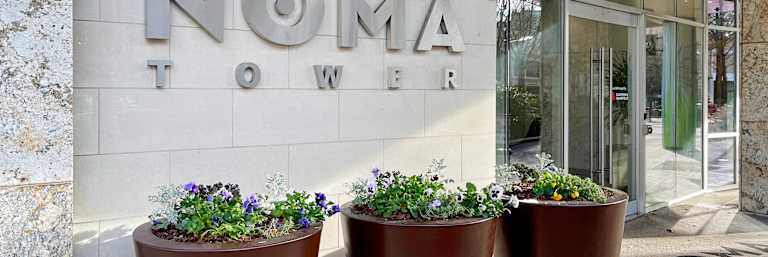 NOMA Tower