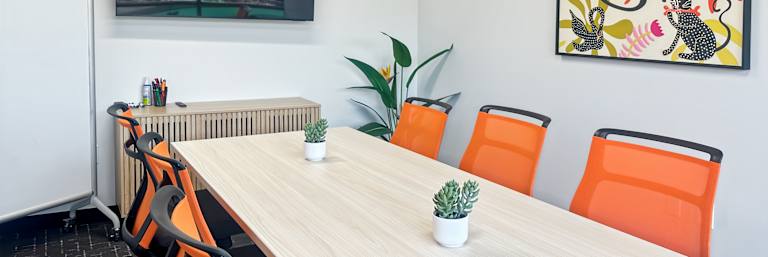 2650 Camino del Rio N