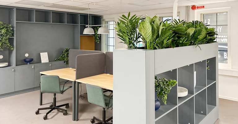 Västra Torggatan 10