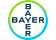 WebsiteImagery/Gallery/Logo_Bayer_Transparent