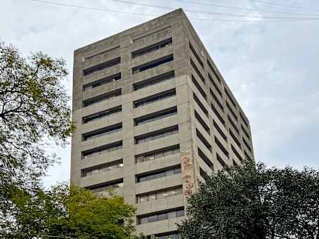 Building at Hamburgo 213 in Mexico City