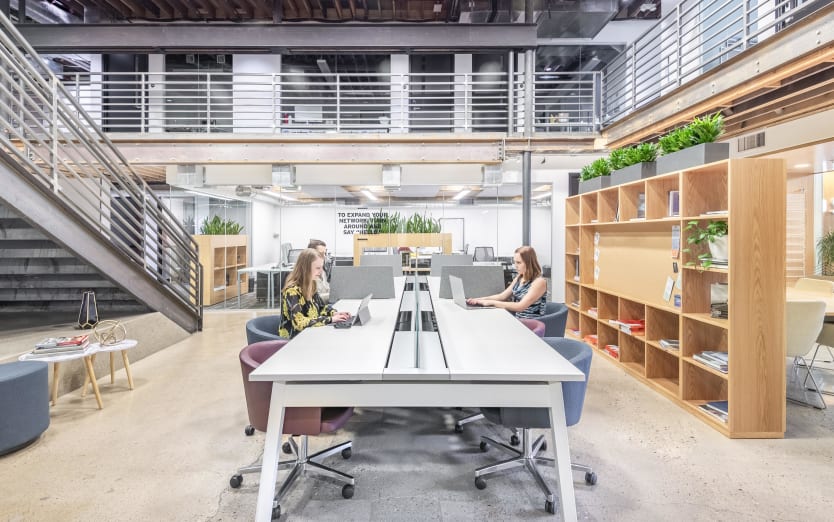 242 Linden Street, 1st Floor, 80524