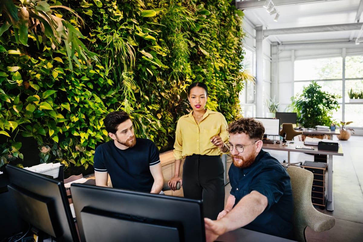 Why businesses are embracing green offices