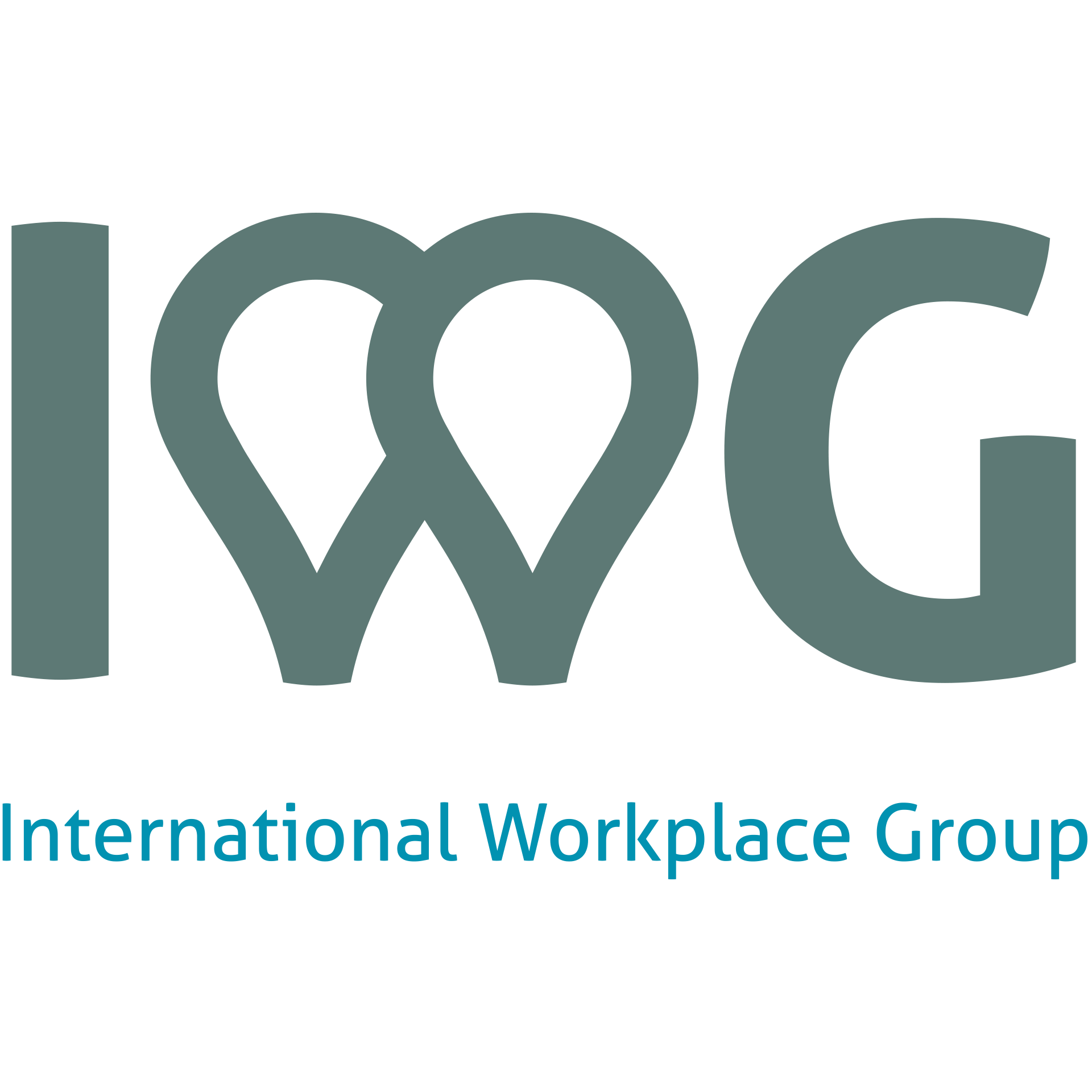 IWG Authentication
